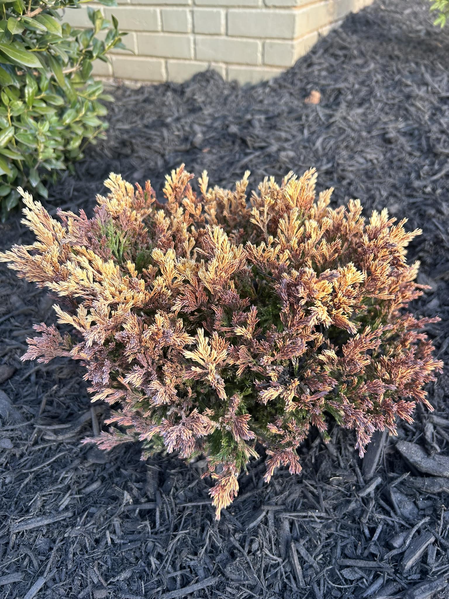 National Park photo 68